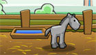 surprises : Open a Horse Ranch