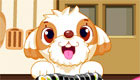  cooking : Sushi for dogs