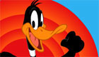  celebrities : Daffy Duck Adventure