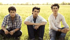  Music : Jonas Brothers - Paranoid