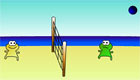 more games : Playing Volleyball
