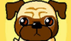 surprises : Little dogs